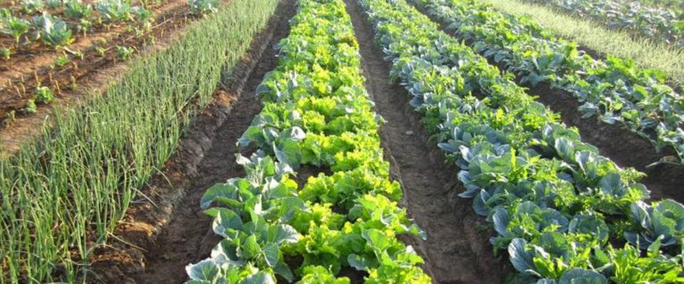 Dr. D. Y. Patil College of Agricultural Engineering & Technology Talsande Kolhapur College Achievement Photos photo 7